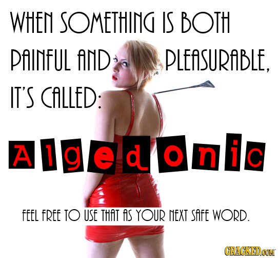 WHEN SOMETHING IS BOTH PAINFUL AND PLEASURABLE, IT'S CALLED: A Alge doin  i c n C FEEL FREE TO USE THAT as YOUR NEXT SAFE WORD. CRACKED.CON 
