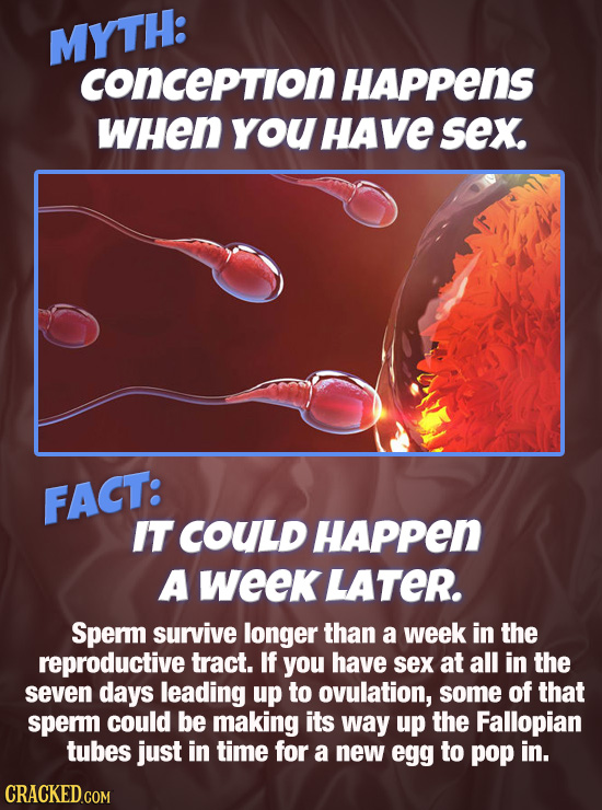 MYTH: conception HAPPenS WHEN you HAve sex. FACT: IT COULD HAPPen A week LATER. Sperm survive longer than a week in the reproductive tract. If you hav