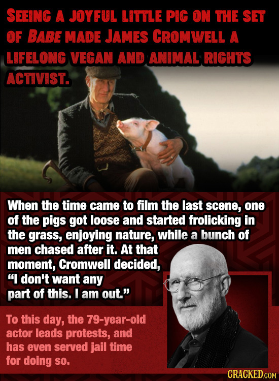 SEEING A JOYFUL LITTLE PIG ON THE SET OF BABE MADE JAMES CROMWELL A LIFELONG VEGAN AND ANIMAL RIGHTS ACTIVIST. When the time came to film the last sce
