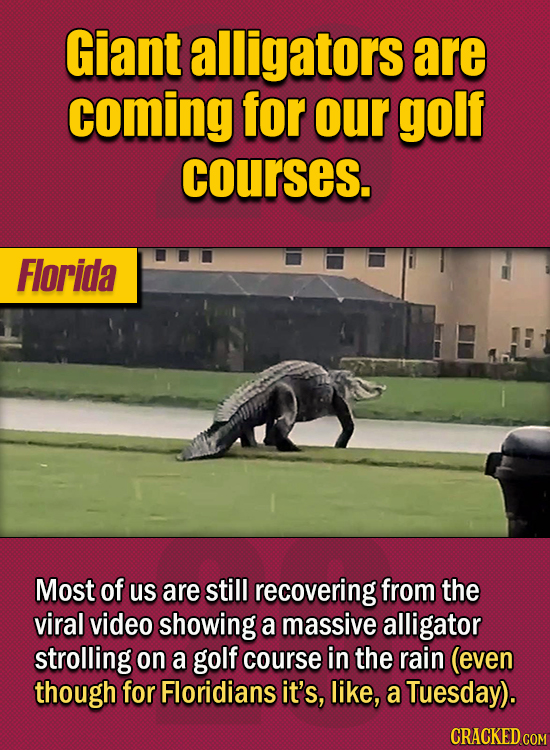 15 Of The Strangest Things 2020 Managed To Cook Up (Part 2) - Giant alligators are coming for our golf courses. Most of us are still recovering from t