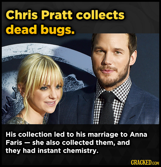 Chris Pratt collects dead bugs. His collection led to his marriage to Anna Faris- she also collected them, and they had instant chemistry. CRACKED.COM