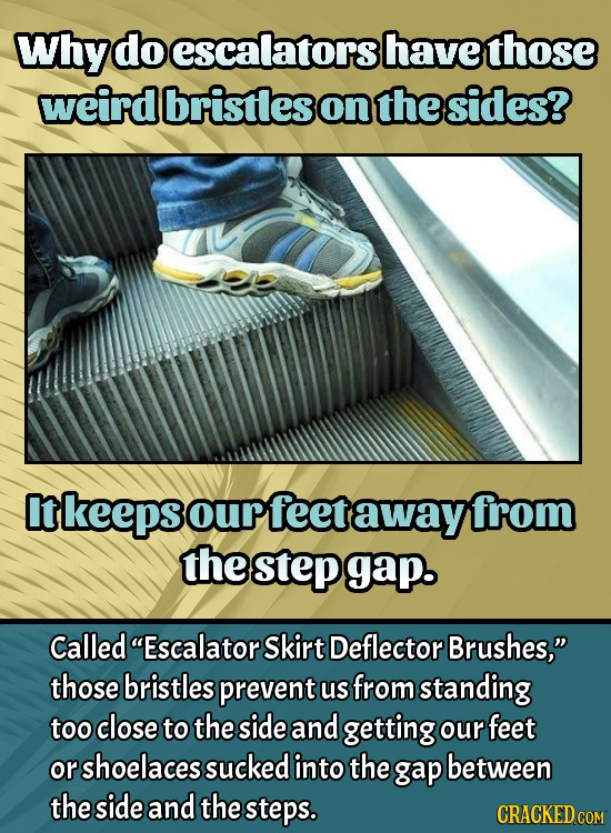 Why do escalators have those weird bristles on the sides? It keeps our feet away from the step gap. Called Escalator Skirt Deflector Brushes, those