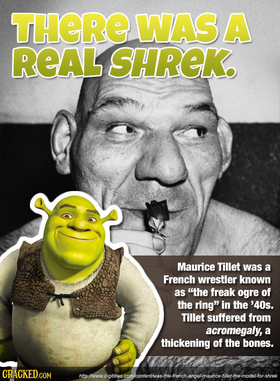 THERE WASA REAL SHREK Maurice Tillet was a French wrestler known as the freak ogre of the ring in the '40s. Tillet suffered from acromegaly, a thick