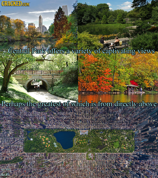 Central. Park offers a variety of captivating views Perhaps the greatest of which is from directly above