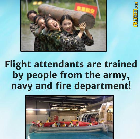 818 Flight attendants are trained by people from the army, navy and fire department!