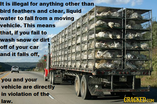 It is illegal for anything other than bird feathers and clear, liquid water to fall from a moving vehicle. This means that, if you fail to wash snow o