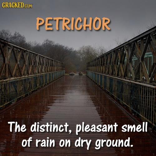 CRACKED COM PETRICHOR The distinct, pleasant smell of rain on dry ground.
