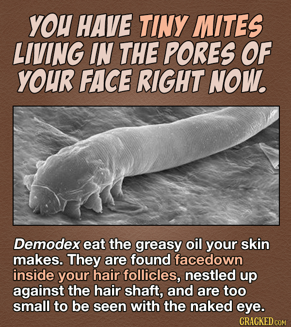 16 Nightmare-Inducing Facts About The Human Body