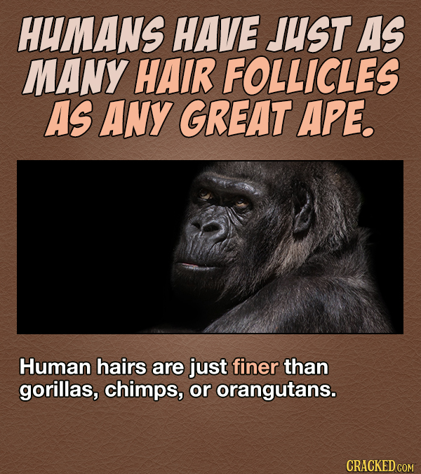 16 Nightmare-Inducing Facts About The Human Body