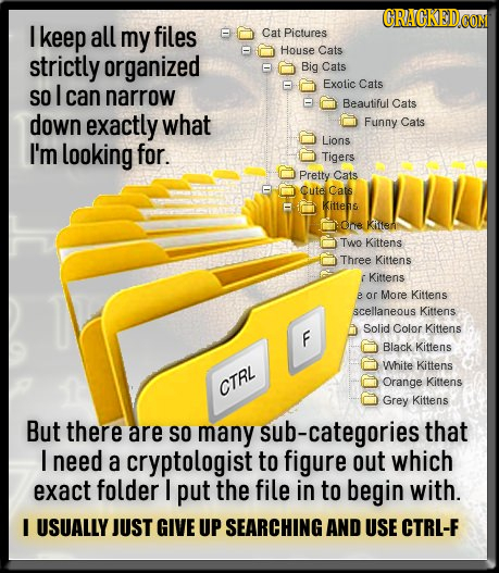 I keep all my files Cat Pictures House Cats strictly organized Big Cats Cats SO I Exotic can narrow Beautiful Cats down exactly what Funny Cats Lions