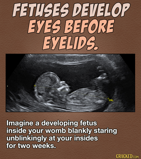 16 Nightmare-Inducing Facts About The Human Body