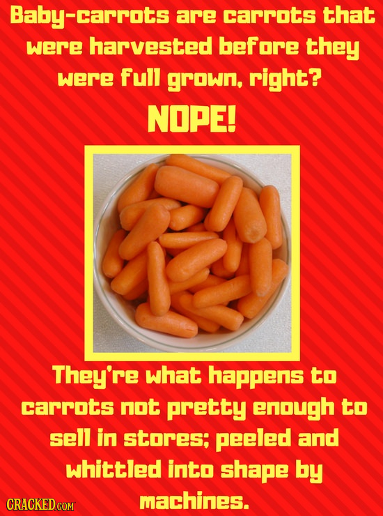 Baby- carrots are carrots that were harvested before they were Full grown, right? NOPE! They're what happens to carrots not pretty enough to sell in stores: peeled and whittled into shape by machines.