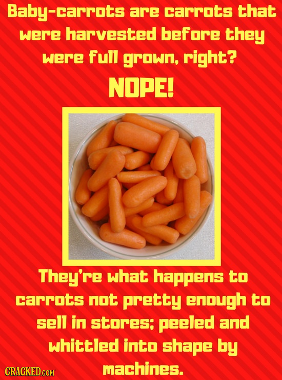 Baby- carrots are carrots that were harvested before they were Full grown, right? NOPE! They're what happens to carrots not pretty enough to sell in s
