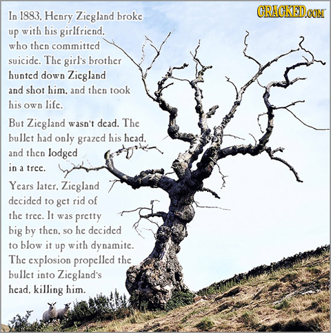 CRACKED In 1883. Henry Zicgland broke up with his girlfriend. who then committed suicide. The girl's brother hunted down Zicgland and shot him. and th