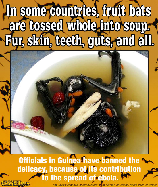 In some countries, fruit bats are tossed whole into soup. Fur, skin, teeth, guts, and all. Officials in Guinea! have banneD the delicacy, because of i