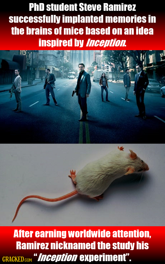 PhD student Steve Ramirez successfully implanted memories in the brains of mice based on an idea inspired by Inception After earning worldwide attenti