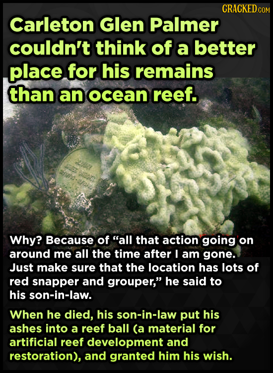 CRACKEDco Carleton Glen Palmer couldn't think of a better place for his remains than an ocean reef. 281 es Why? Because of all that action going on a
