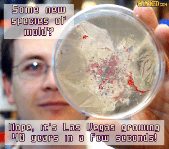 10 Sped-Up GIFs That Turn Normal Stuff Horrifyingly Awesome