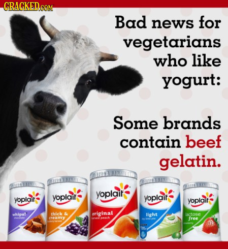CRAGKED.COM Bad news for vegetarians who like yogurt: Some brands contain beef gelatin. yoplait yoplait yoplait yoplait yoplait whips! thick & origina