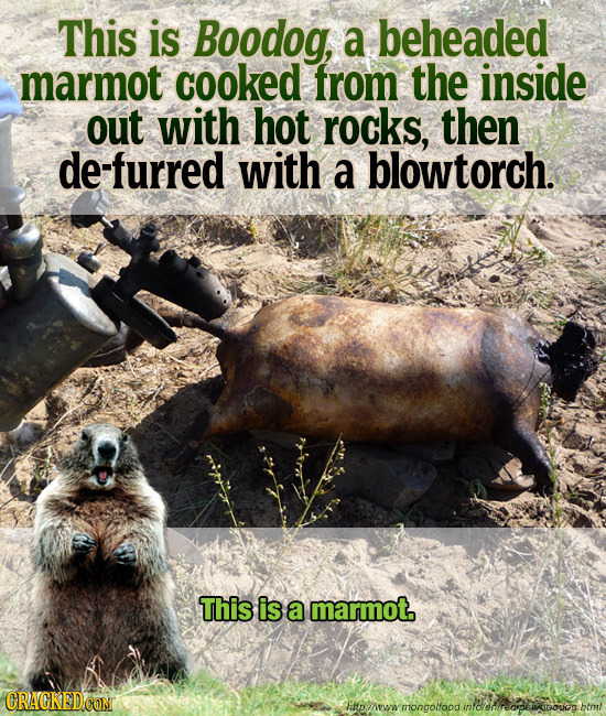 This is Boodog, a beheaded marmot cooked from the inside out with hot rocks, then de-furred with a blowtorch. This is a marmot. CRACKEDCON Chp/wmongol