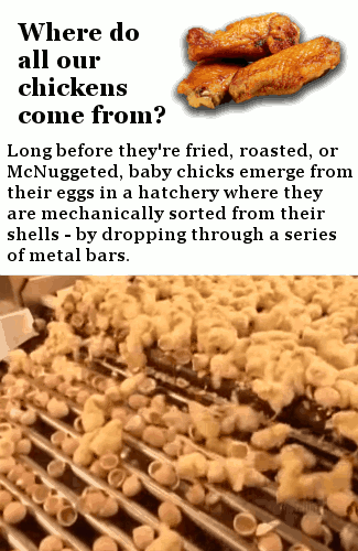 Crazy Processes Used To Make Popular Products