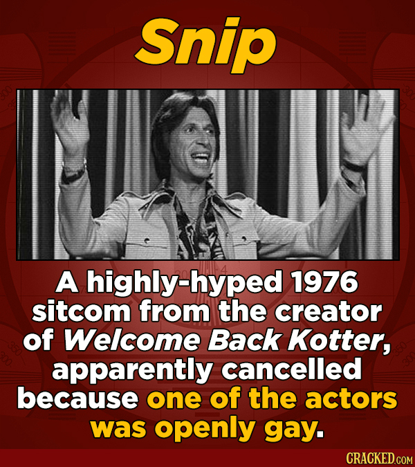 Snip A highly-hyped 1976 sitcom from the creator of Welcome Back Kotter, apparently cancelled because one of the actors was openly gay.