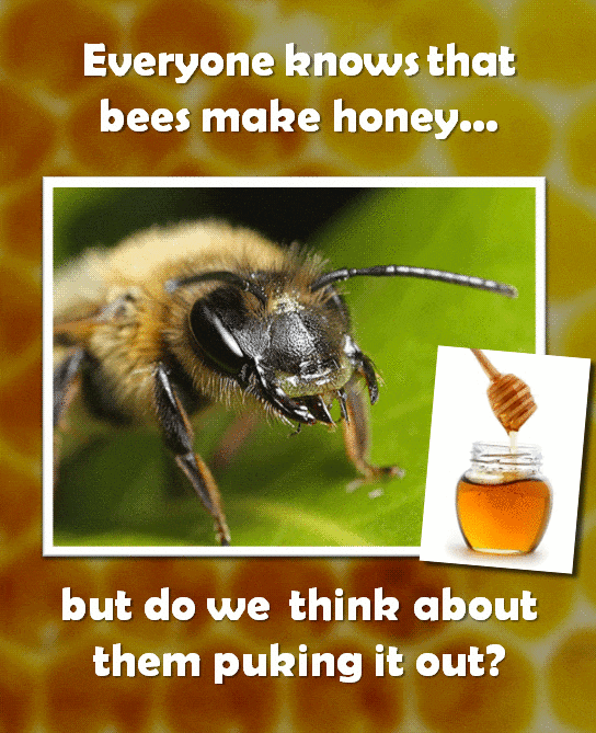 Crazy Processes Used To Make Popular Products