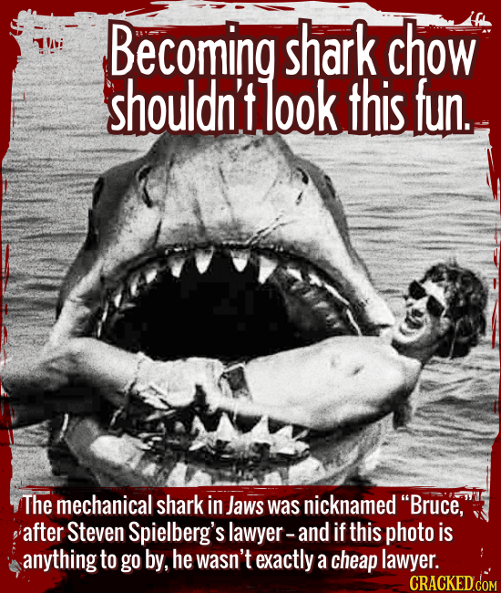 Becoming shark chow shouldn’t look this fun. - The mechanical shark in Jaws was nicknamed “Bruce,” after Spielberg’s lawyer -- and if this photo is an