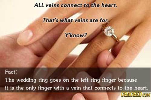 ALL veins connect to the heart. That's what veins are for. Y'know? Fact: The wedding ring goes the left on ring finger because it is the only finger w