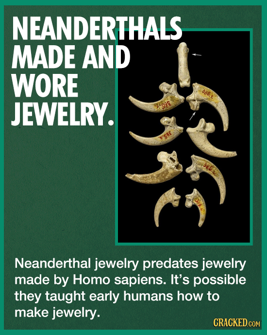 NEANDERTHALS MADE AND WORE 385.1 JEWELRY. Neanderthal jewelry predates jewelry made by Homo sapiens. It's possible they taught early humans how to mak