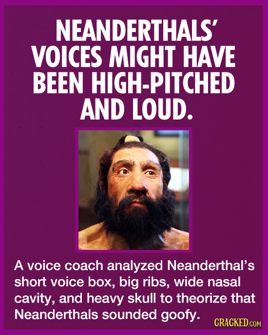 NEANDERTHALS' VOICES MIGHT HAVE BEEN HIGH-PITCHED AND LOUD. A voice coach analyzed Neanderthal's short voice box, big ribs, wide nasal cavity, and hea