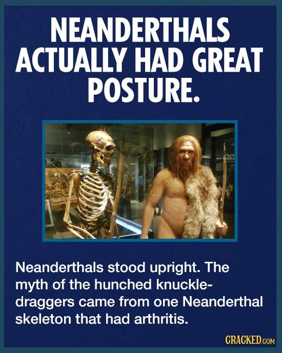 NEANDERTHALS ACTUALLY HAD GREAT POSTURE. Neanderthals stood upright. The myth of the hunched knuckle- draggers came from one Neanderthal skeleton that