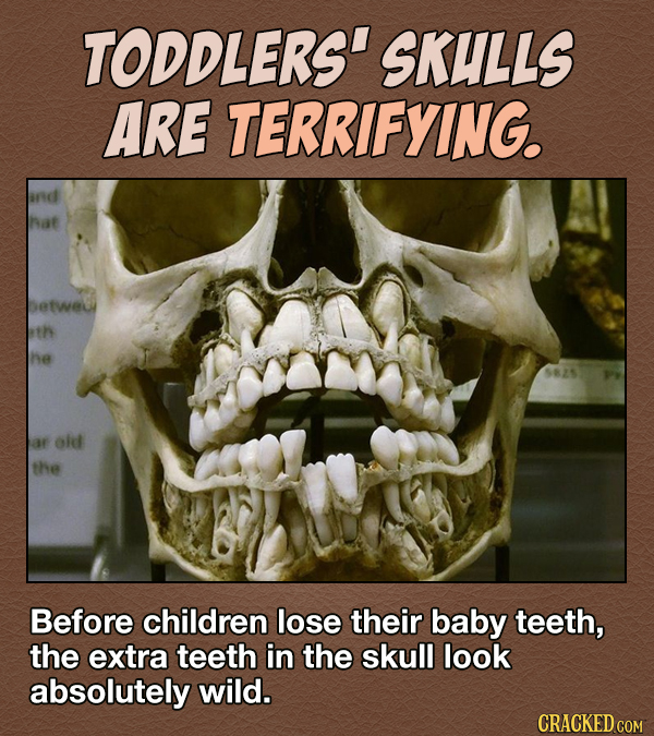 16 Nightmare-Inducing Facts About The Human Body