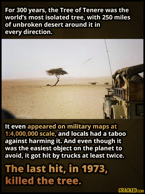 For 300 years, the Tree of Tenere was the world's most isolated tree, with 250 miles of unbroken desert around it in every direction. It even appeared