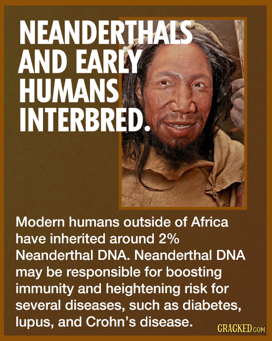 NEANDERTHALS AND EARLY HUMANS INTERBRED. Modern humans outside of Africa have inherited around 2% Neanderthal DNA. Neanderthal DNA may be responsible