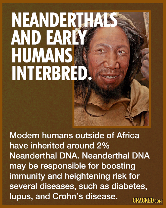 NEANDERTHALS AND EARLY HUMANS INTERBRED. Modern humans outside of Africa have inherited around 2% Neanderthal DNA. Neanderthal DNA may be responsible 
