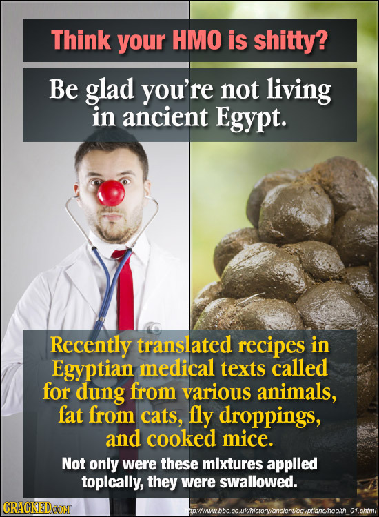 Think your HMO is shitty? Be glad you're not living in ancient Egypt. Recently translated recipes in Egyptian medical texts called for dung from vario