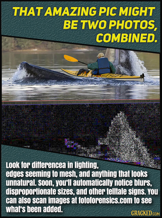 THAT AMAZING PIC MIGHT BE TWO PHOTOS, COMBINED. LoOk for differencea in lighting, edges seeming to mesh, and anything that looks unnatural. soon, you'