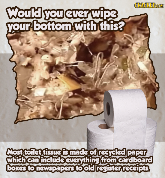 CRACKEDCON Would you ever wipe your bottom with this? Most toilet tissue is made of recycled paper which can include everything from cardboard boxes t