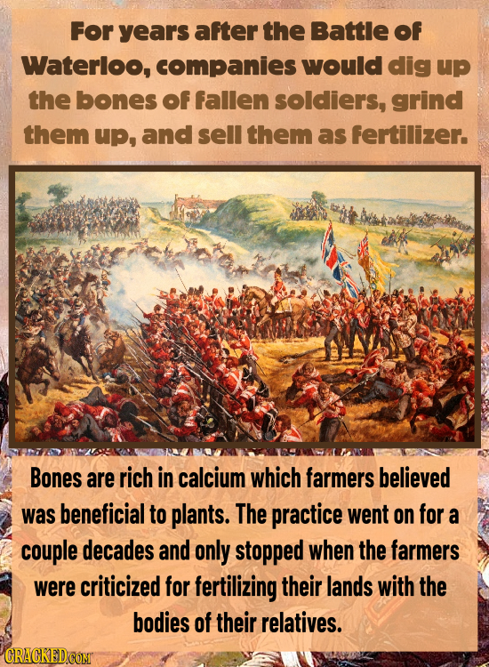 For years after the Battle Of Waterloo, companies would dig up the bones of fallen soldiers, grind them up, and sell them as fertilizer. Bones are ric