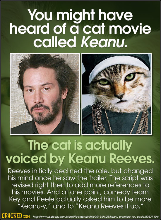 You might have heard of a cat movie called Keanu. The cat is actually voiced by Keanu Reeves. Reeves initially declined the role, but changed his mind