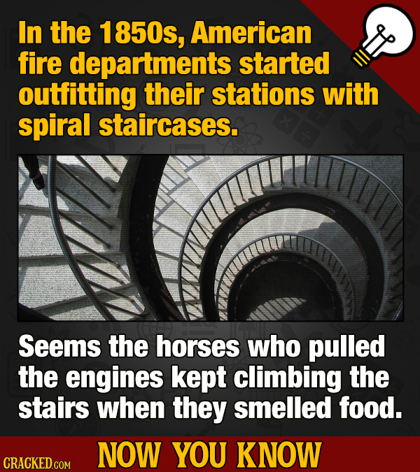 A 12-Pack Of Interesting Movie & General 'Now You Know' Facts