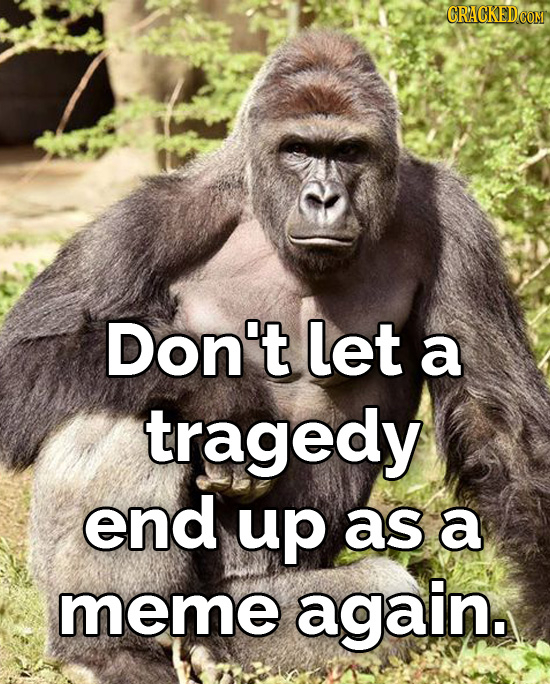 Don't let a tragedy end up as a meme again. 