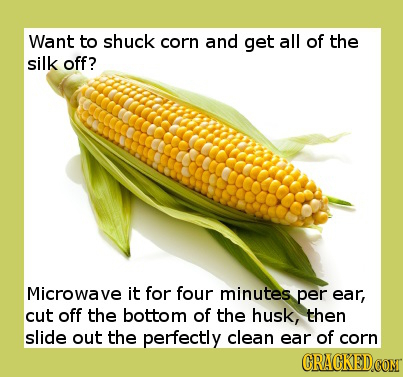 Want to shuck corn and get all of the silk off? Microwave it for four minutes per ear, cut off the bottom of the husk, then slide out the perfectly cl