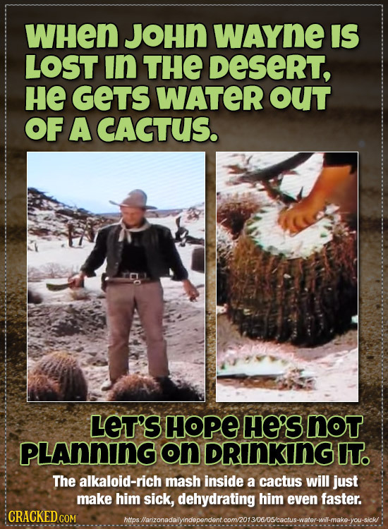 WHen JOHN WAYne IS LOST in THE DeseRT, HE GETS WATER OUT OF A CACTUS. LET'S HOPE He'S NoT PLAnnING on DRnKnG IT. The alkaloid-rich mash inside a cactu