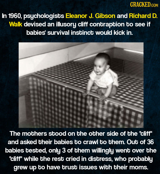 CRACKEDCON In 1960, psychologists Eleanor J. Gibson and Richard D. Walk devised an illusory cliff contraption to see if babjes' survival instinct woul