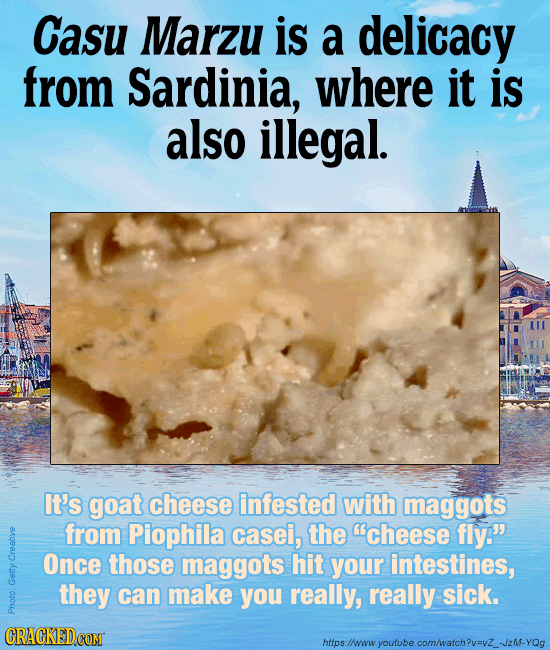 The 26 Most Terrifying Foods on Our Planet