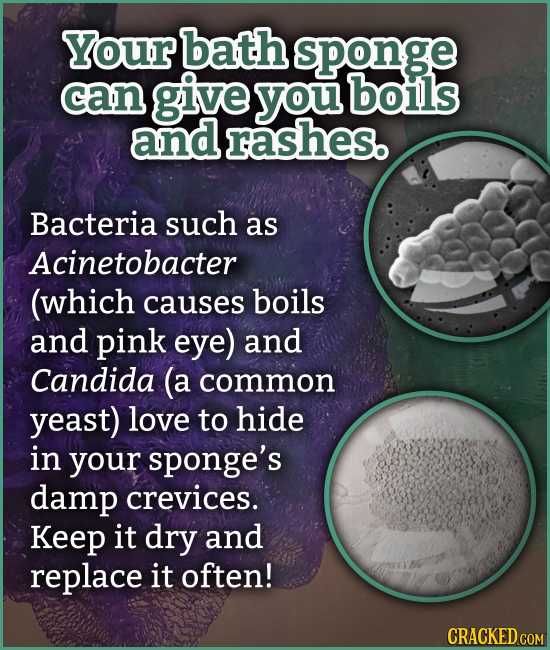 Your bath sponge can give you boils and rashes. Bacteria such as Acinetobacter (which causes boils and pink eye) and Candida (a common yeast) love to