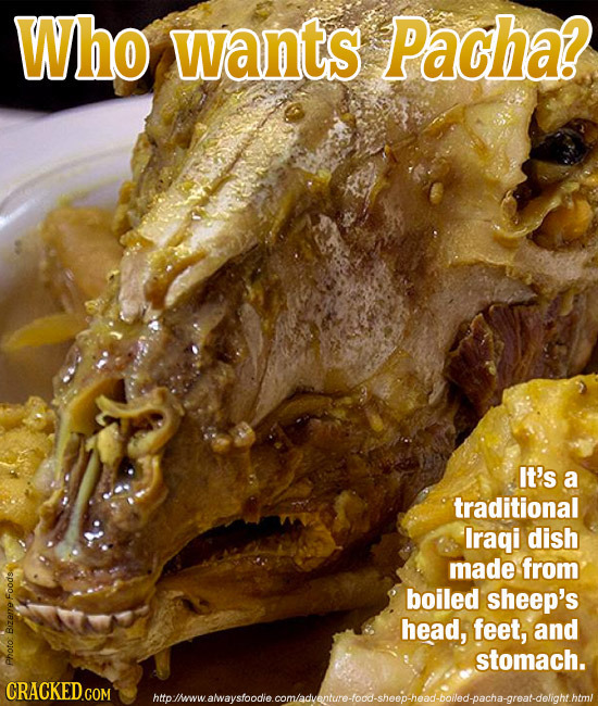 Who wants Pacha? It's a traditional Iraqi dish made from boiled sheep's Foods head, feet, and Bizere stomach. pboto CRACKED.COM htto wamaysoedecomaden
