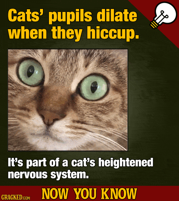 A 12-Pack Of Interesting Movie & General 'Now You Know' Facts